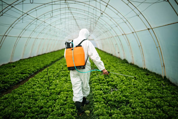 Best Mosquito Control Services  in Bridgetown, MS