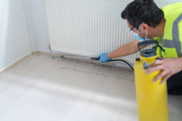 Best Best Pest Control Companies  in Bridgetown, MS