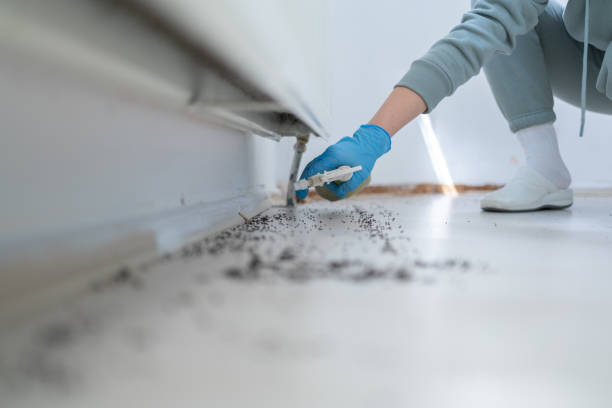 Best Wildlife Control Services  in Bridgetown, MS
